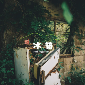 「Vol 39」冰箱，家的赛博心脏