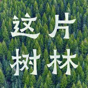 这片树林