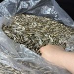 嗯我在听你继续说
