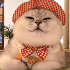 资本市场舆情解读【9月30日】