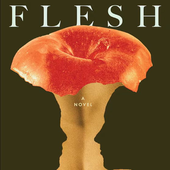 vol.60 布克奖黑马《Flesh》：“原始的男性气概”与“突然而至的秋天” episode artwork