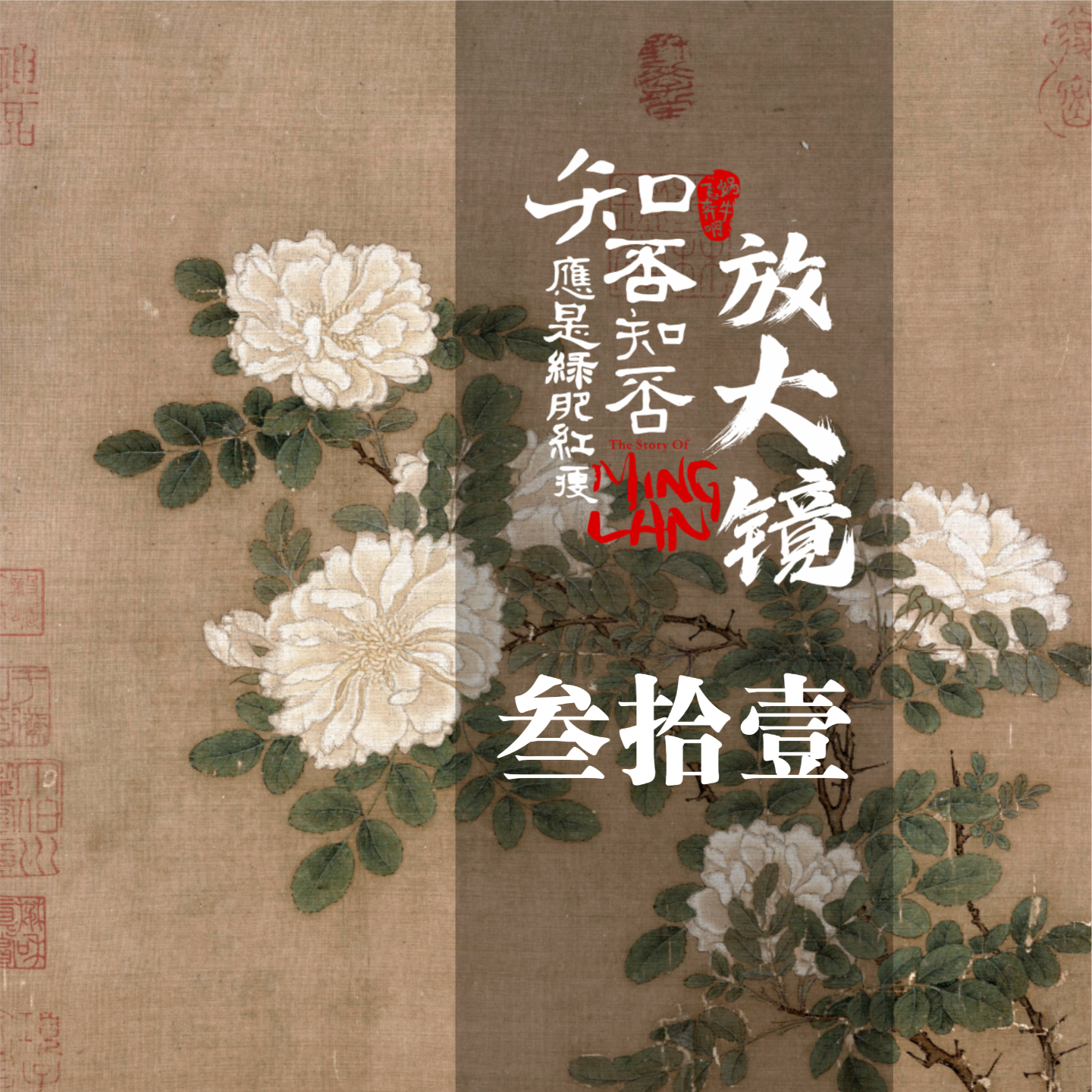 知否放大镜 31：拿出大娘子的款儿！ episode artwork