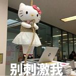 AAA废话批发王姐