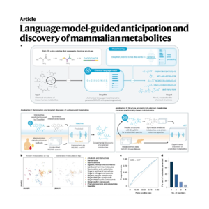 480-DeepMet: Language Models for Human Metabolite Discovery