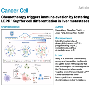 631-化疗诱导的LEPR+库普弗细胞促使肝转移瘤免疫逃逸