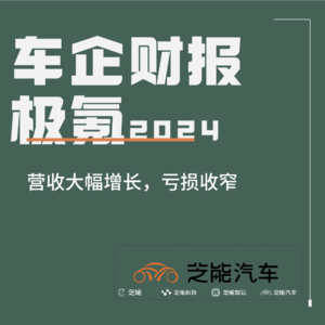 财报系列之极氪集团的2024年：营收大幅增长，亏损收窄