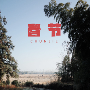 回家过年，大抵是去为了见那个小时候的自己和家人吧！