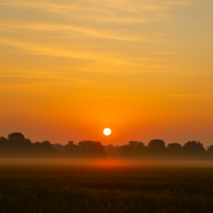 Positivity and Growth -- Emotional Intelligence for success