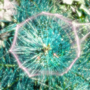 Purple Green-驚蟄
