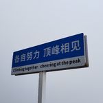 毒蘑菇重名