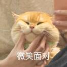Fiona陈仁婷