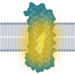E022 零基础也能做科研了吗？｜当AI介入蛋白质研究
