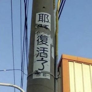 vol.031 好话怪谈|被官方证实的真实轮回案件 (上)
