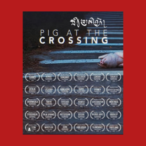 🔵Pig at the Crossing🟣/Film🐷In-depth interview🎬