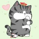 什么你还没学习