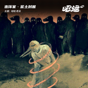 142·【案45】我把泥沙吞下:聂树斌冤案