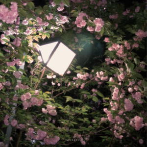 都已经是自由职业了，怎么还不能想休息就休息？👭🏻 Apr.8