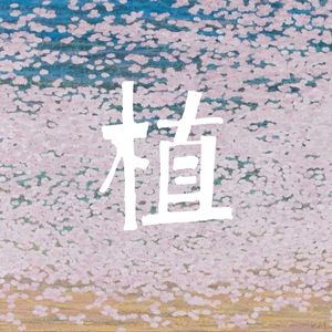 植