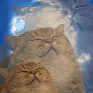 podcaster-avatar