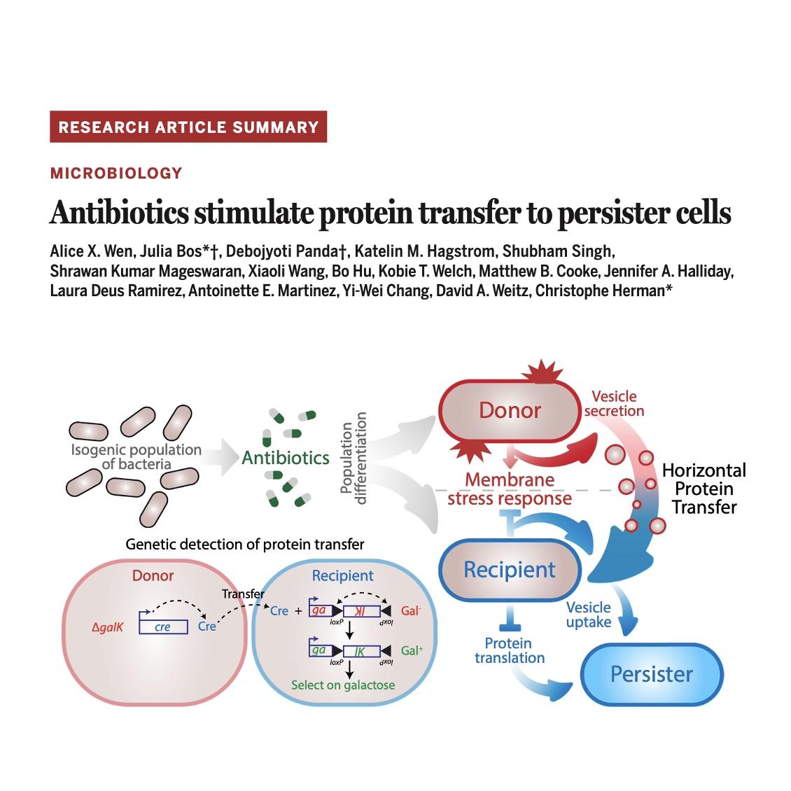 1467-Antibiotic-Induced Horizontal Protein Transfer episode artwork