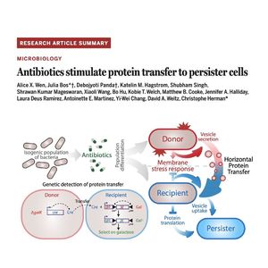 1467-Antibiotic-Induced Horizontal Protein Transfer