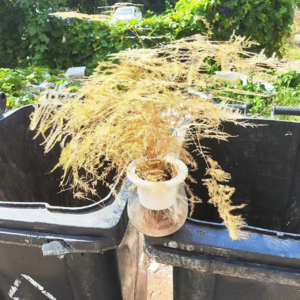 Vol.063｜逃走，成为一个没有历史的人