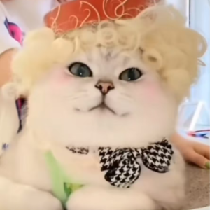 资本市场舆情解读【11月20日】