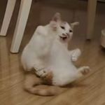 主线任务是成为现充