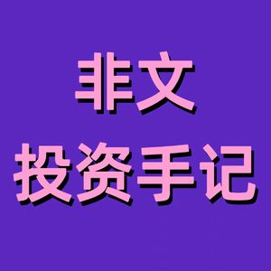 非文投资手记