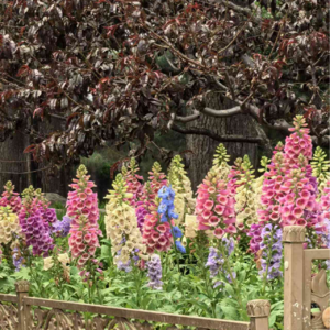 Vol 18 - 所以到底啥是主体性啊?