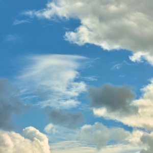 028.从平台操盘手到“一人公司”:创业不仅仅为了赚钱,而是解决社会问题