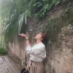 淡淡23