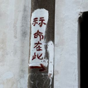 EP07. 浙江小城日志