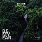BME: 凌晨四点开始的鸟鸣 / 4 in the morning, brids start to sing