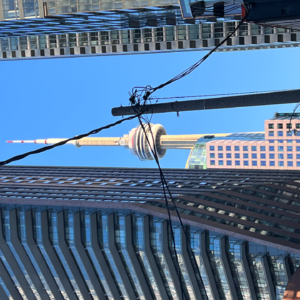 留在加拿大,还是回国