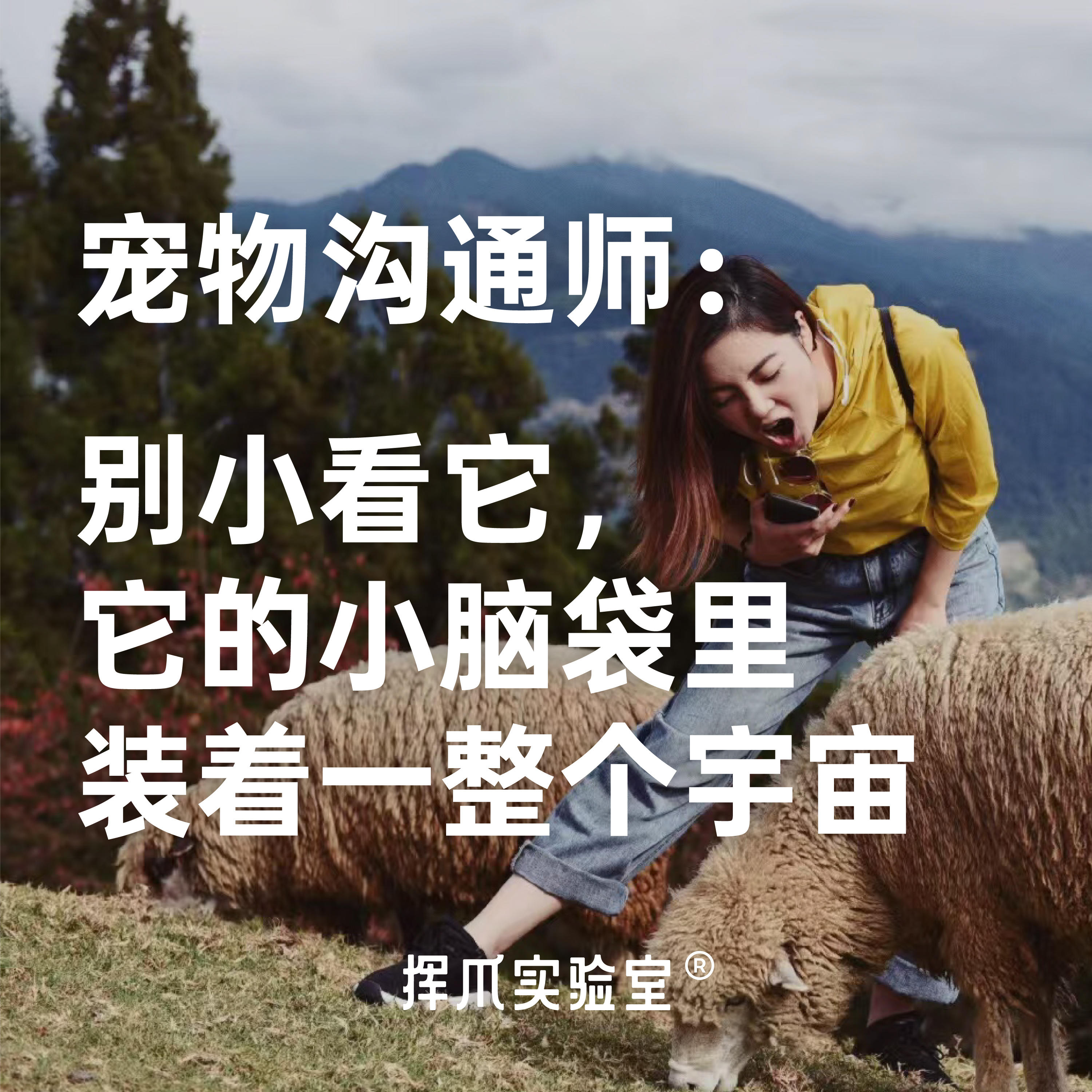 E.5 宠物沟通师：别小看它，它的小脑袋里装着一整个宇宙 episode artwork