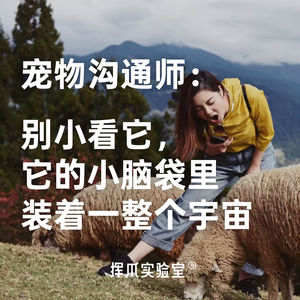 E.5 宠物沟通师:别小看它,它的小脑袋里装着一整个宇宙