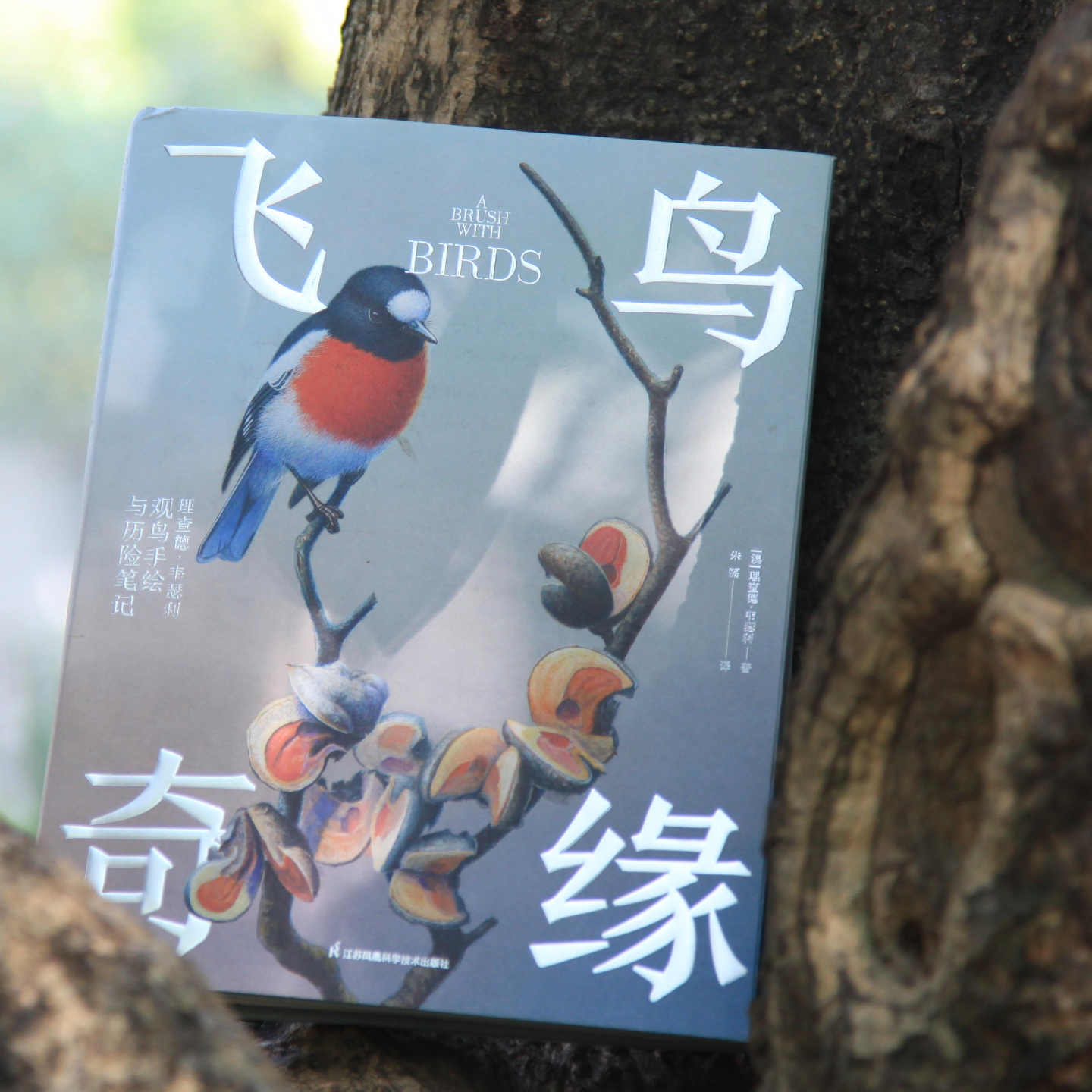 E18.📖《飞鸟奇缘》：让艺术复写自然，让人文延展视野 episode artwork