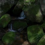 鹤铎