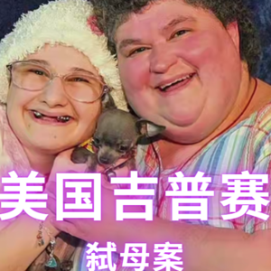 T3-31:美剧恶行原型案件 ：美国吉普赛弑母案