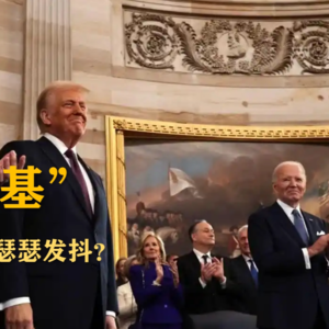 S5E2-川普真“登基”了，盟友都在瑟瑟发抖