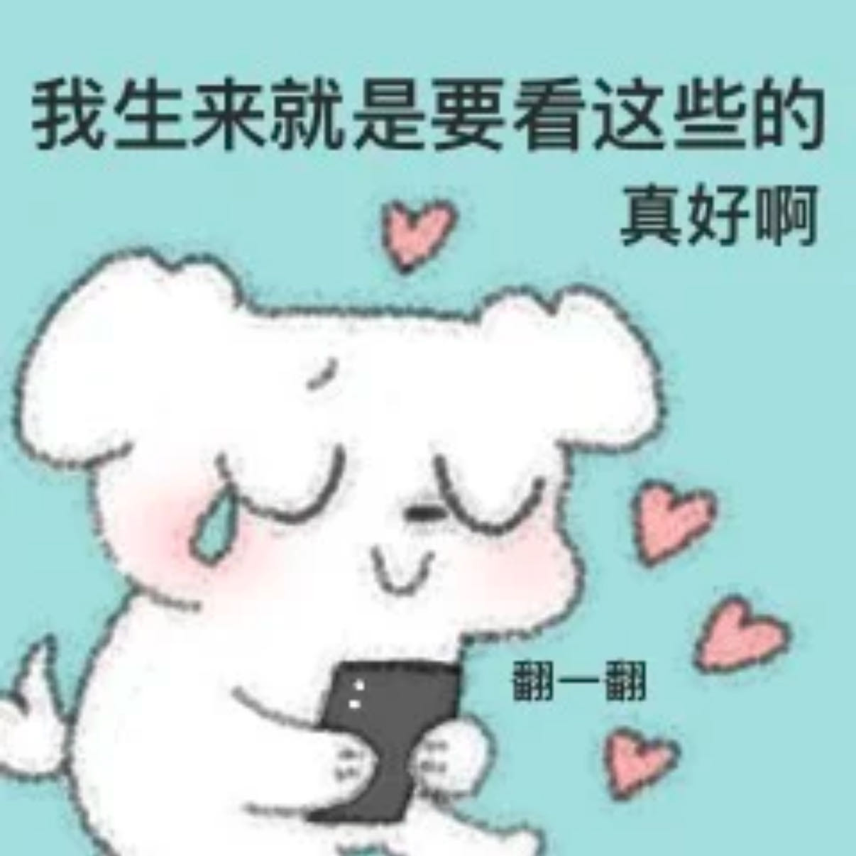 请你吃贝狗