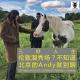 三好人生 – 伦敦混秀场？不知道北京的Andy就别聊了。