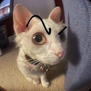 podcaster-avatar