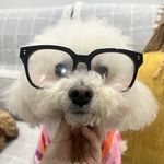要吐了哟