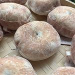 野生老劉