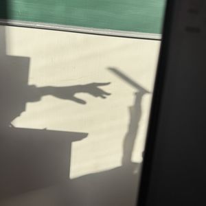 podcaster-avatar