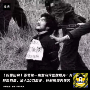 西北第一高智商悍匪魏振海：打群架扔雷，捅人20刀起步，行刑前仰天狂笑丨犯罪纪实