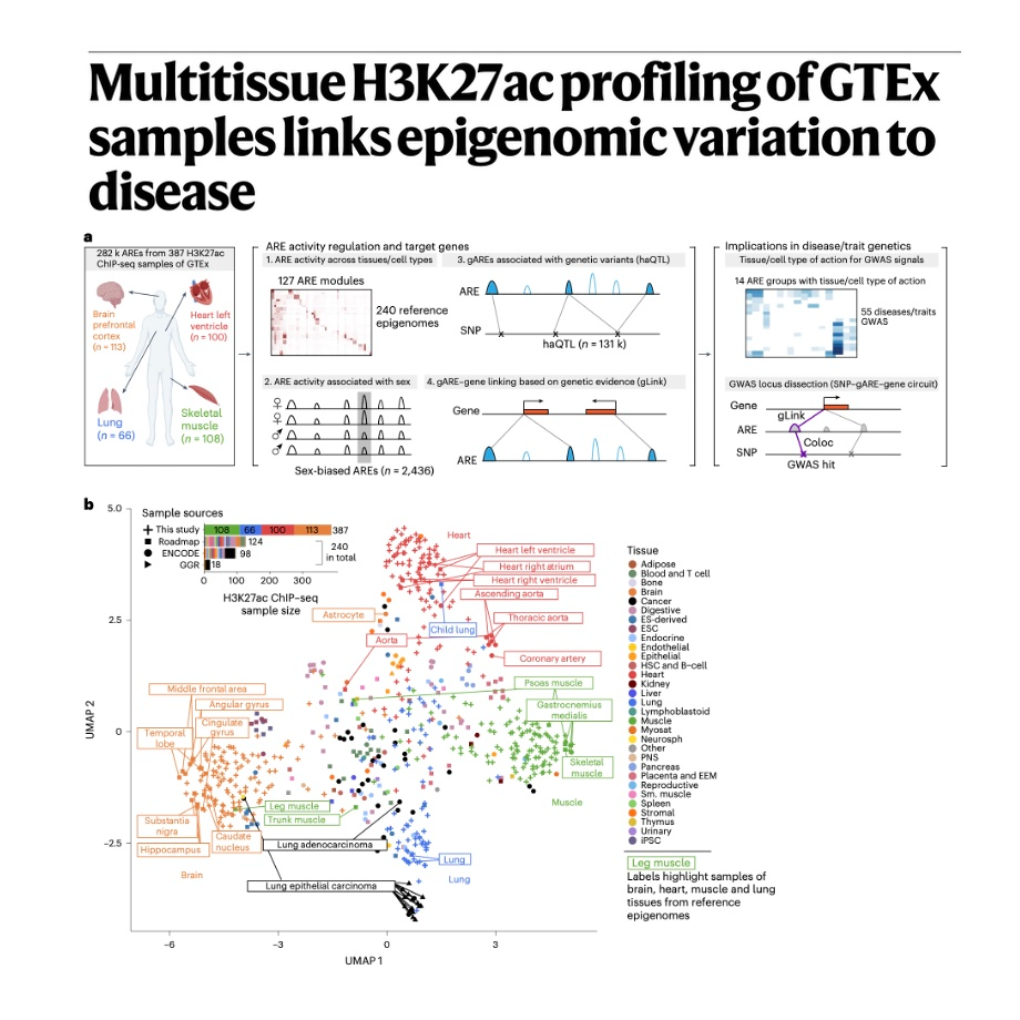 807-Multitissue Epigenomic Variation of Human Disease episode artwork