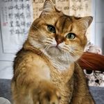 赵发一路